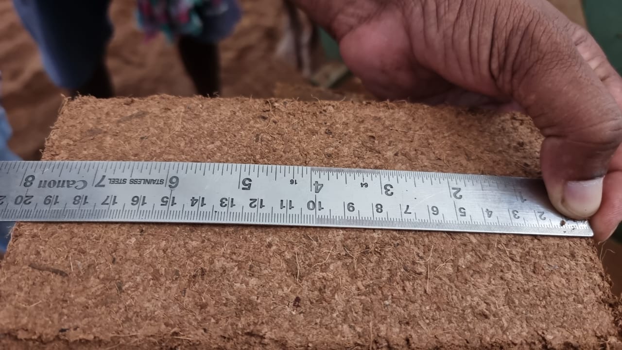 650g Cocopeat Block Front View