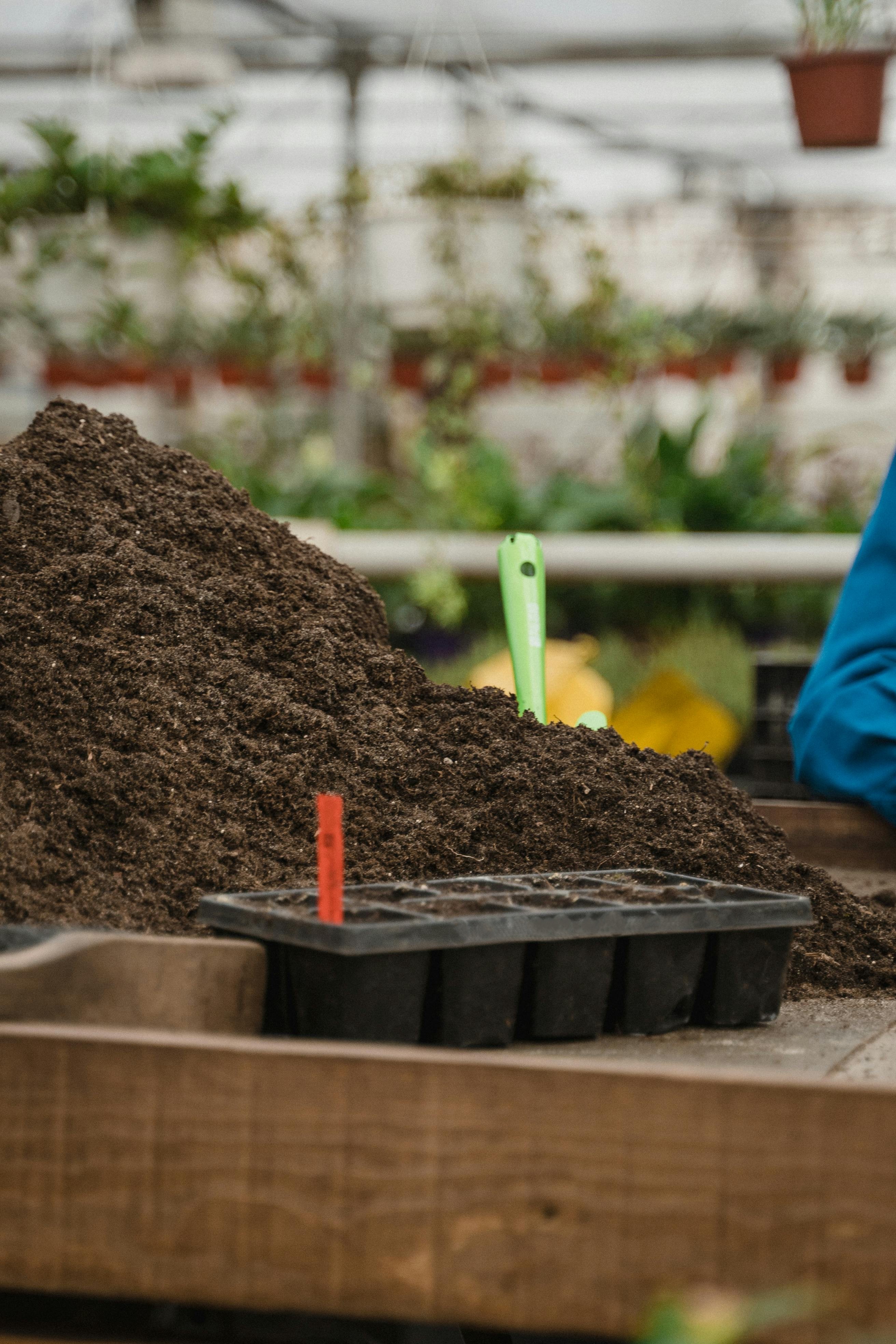 Loose cocopeat potting mix prepared for nursery and greenhouse planting