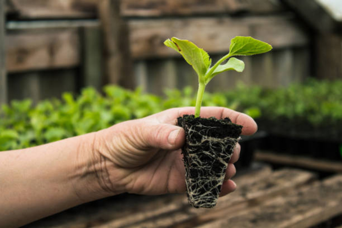 Shop Our New Collection